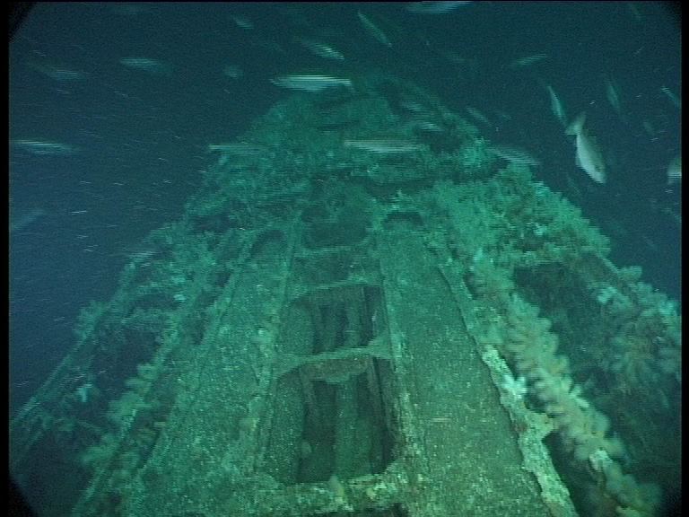 The Discovery Of U 155 By U Boat Hunter Dr Innes Mccartney