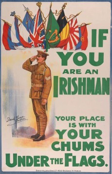 An Island Country Goes to War - The Irish at the Somme