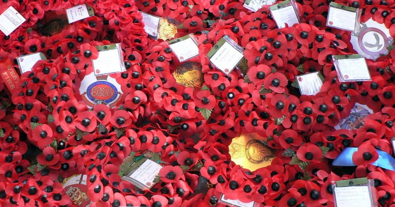 the-history-of-the-red-poppy-as-a-symbol-of-remembrance