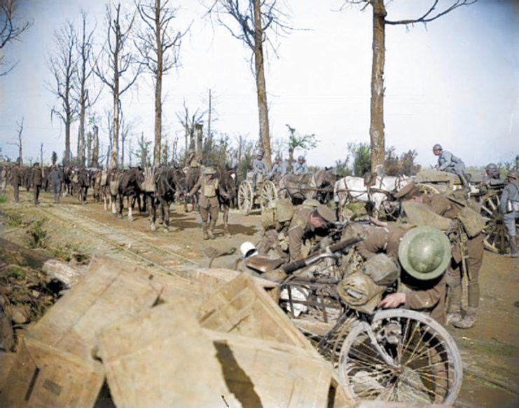 During WWI Fake Trees Were Built To Serve As Observation Posts