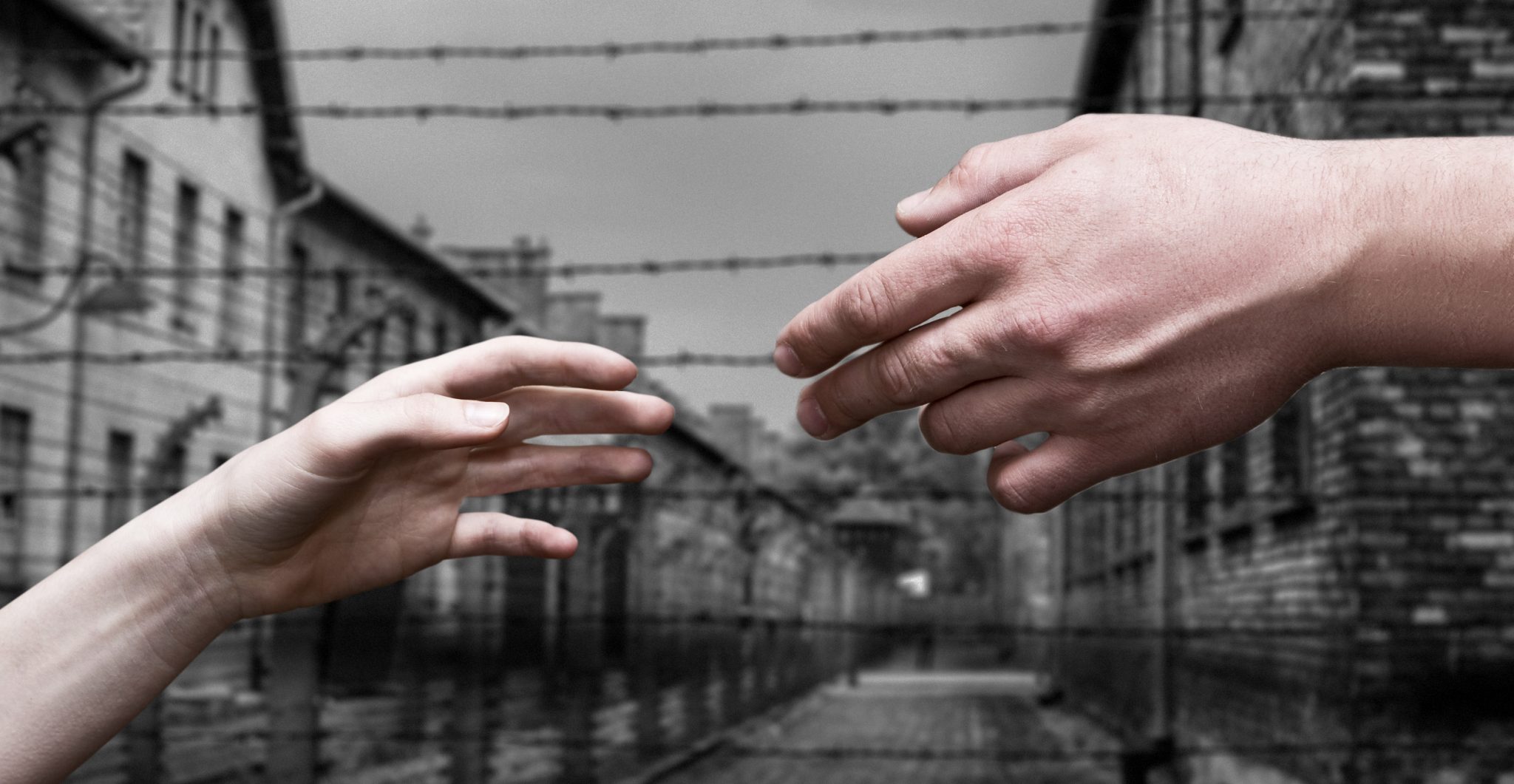 Forbidden Love Auschwitz Prisoner And Ss Guard Developed Relationship