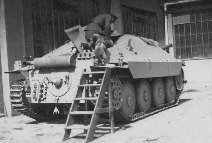 Mighty Little Destroyer of Tanks - The German "Hetzer" Jagdpanzer 38(t