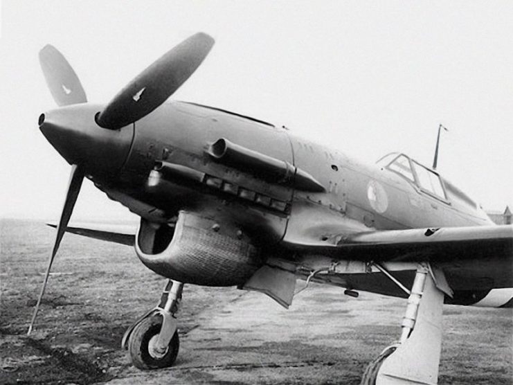 nos vonící macchi C. 202D