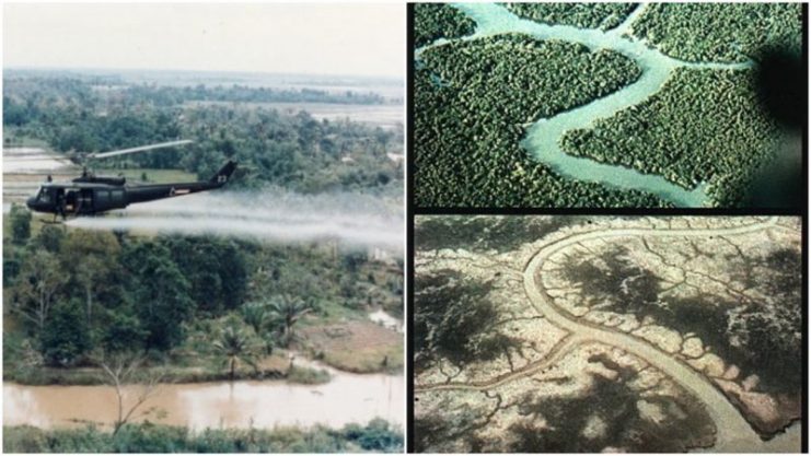 Agent Orange Its Effects Still Haunt Veterans Their Children Today Fascinating Images