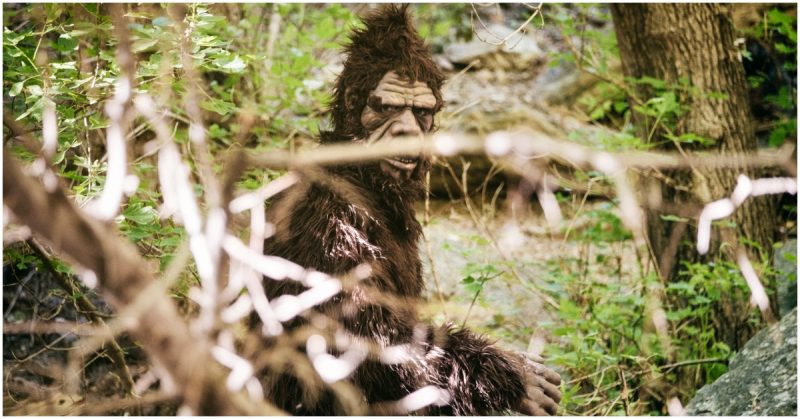  Rock  Apes  The Yetis That Plagued GI s in The Vietnam  War