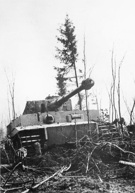 German Tiger of the 502nd Heavy Panzer Battalion near Leningrad, circa 1942 [Bundesarchiv, Bild 146-1981-071-07A CC-BY-SA 3.0]