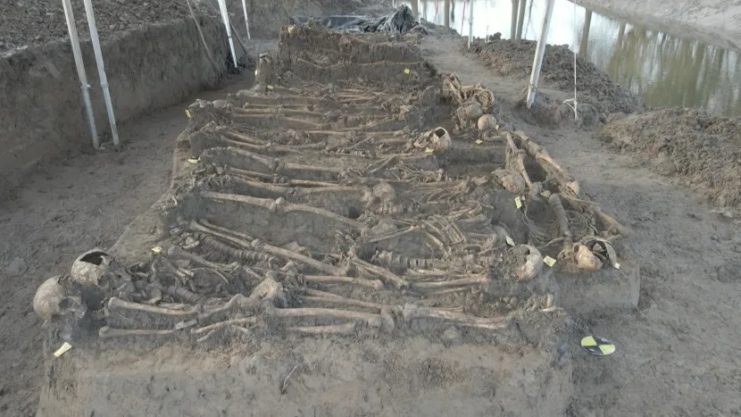 It is believed that they died when aged between 14-30 years old, where they were then placed in this mass grave. Image credit: Ton van Es – www.devliegendefilmer.nl