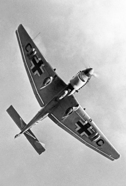 The underside of a Junkers Ju 87 in flight