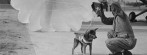 The Heroic Paradogs Of World War Ii 