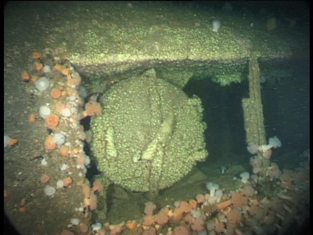 GUEST BLOGGER U-Boat Hunter Innes McCartney: The Discovery of U2506 ...