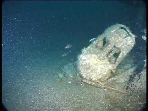 U-Boat Hunter Innes McCartney: The Discovery of U1003 | War History Online