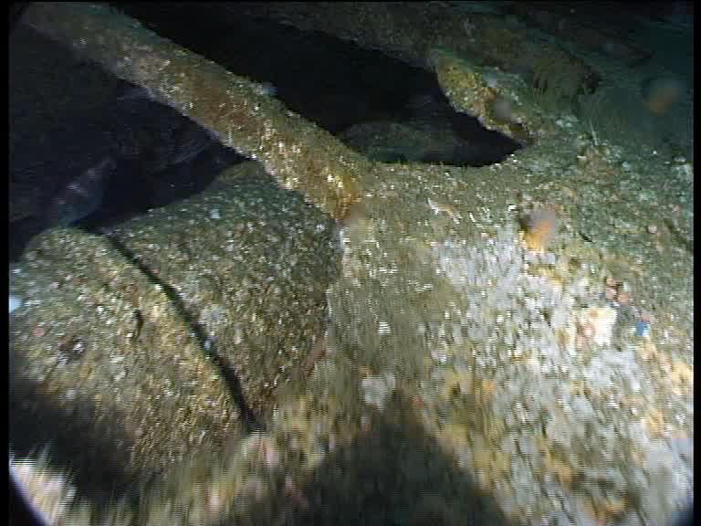 'The most intact U-boat wreck I've ever seen' U-Boat Hunter Innes ...