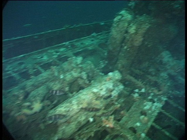 The Discovery Of U-155 - By U-boat Hunter Dr Innes Mccartney 