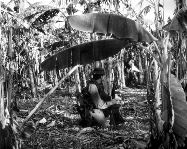 Australian soldier kneeling in the Vietnamese jungle