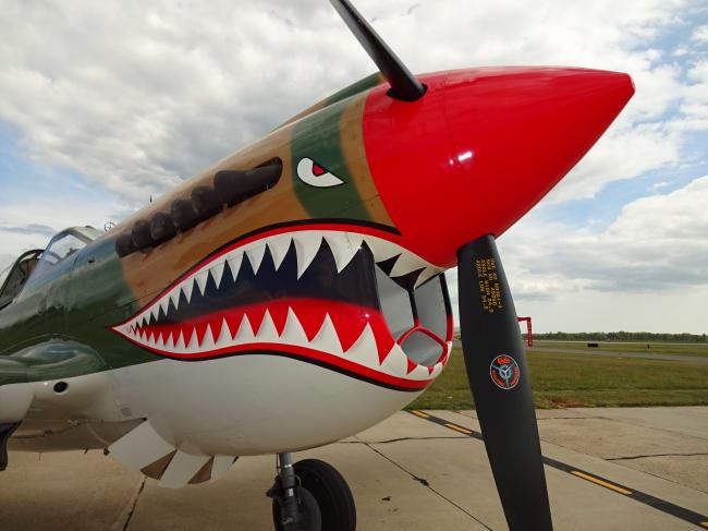 For Sale: Curtiss Wright P-40K - Price: Way Above My Paygrade... | War ...