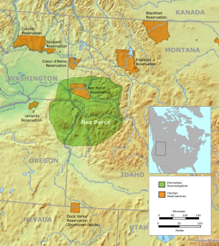 The 1,000 Mile Fighting Retreat of the Nez Perce - Native Americans ...