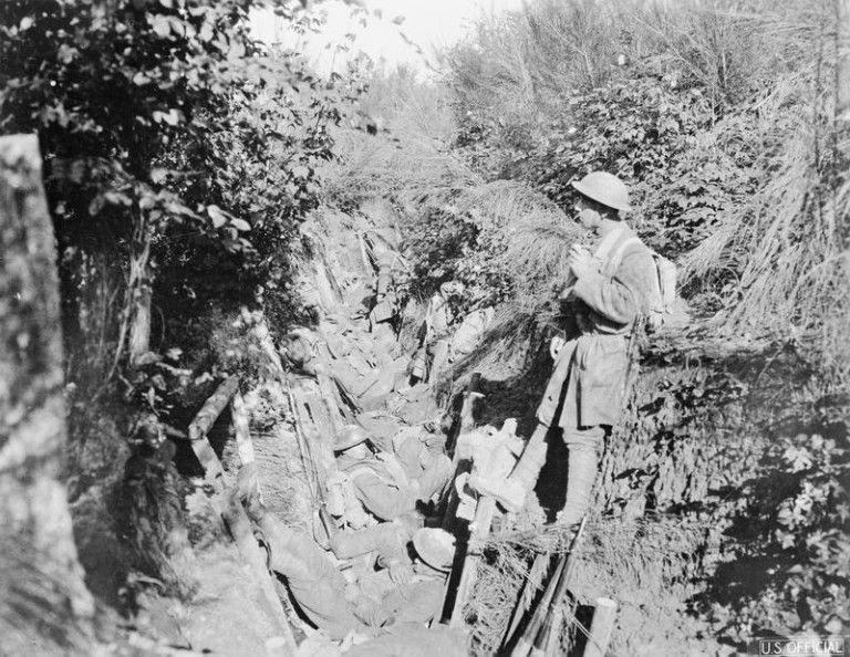 The Commander Of The Lost Battalion From The Meuse-Argonne Offensive ...