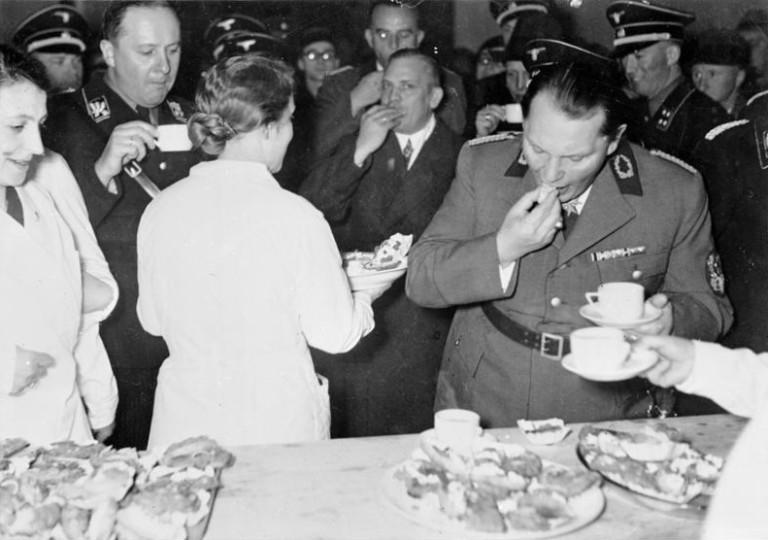 10 Things You Need To Know About Hermann Goering | War History Online