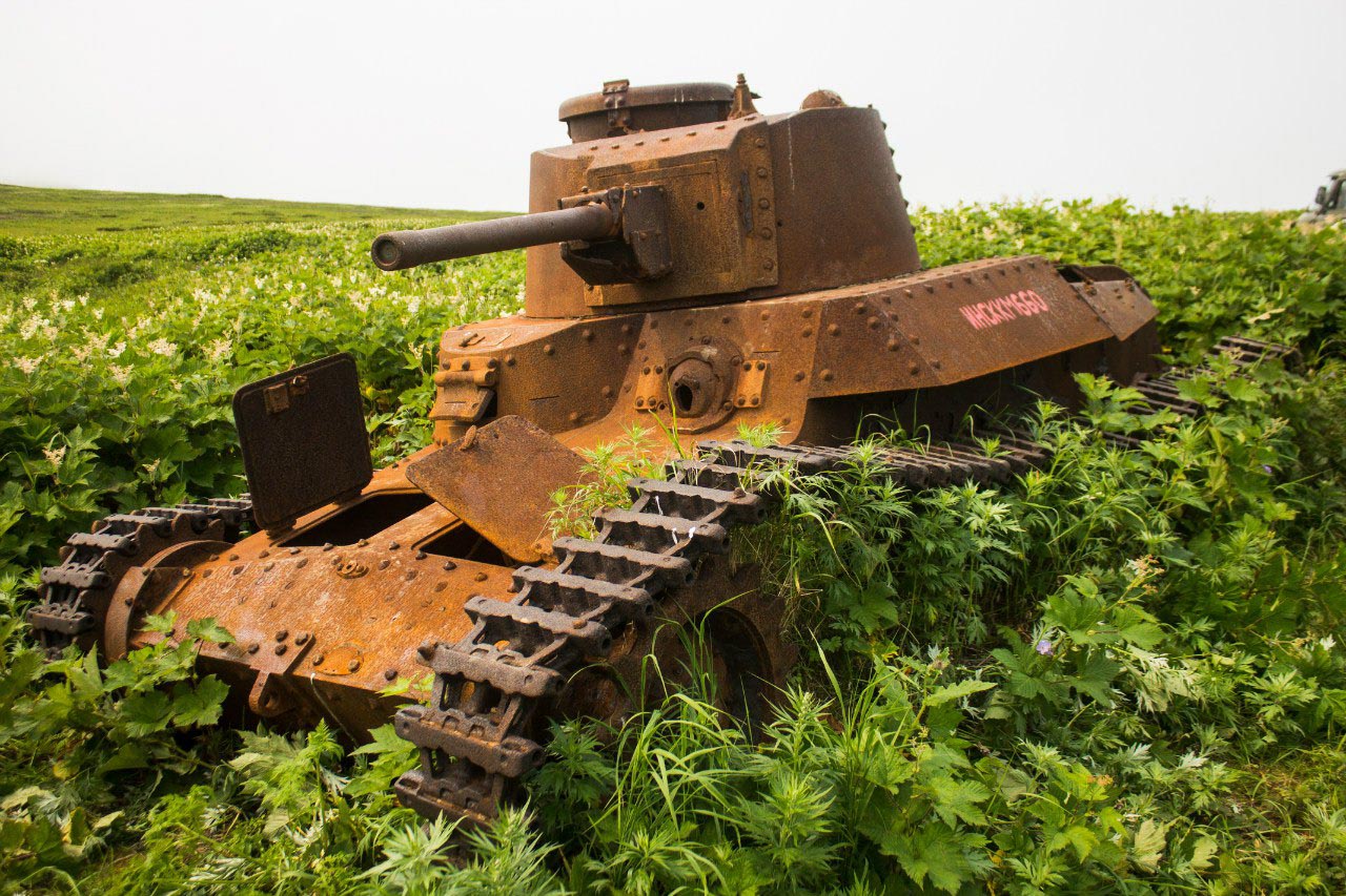 Photos of Nature Reclaiming the Fiercest Weapons of War: Tanks and ...