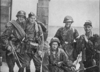 The Gray Ranks - The Fighting Boy-Scouts Of The Polish WWII Resistance ...