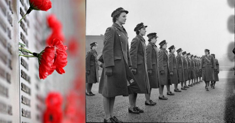 Women's Auxiliary Air Force, UK (right), Poppies, a symbol of remembrance (left). <a href=https://commons.wikimedia.org/w/index.php?curid=452708>Photo Credit: Fir0002/Flagstaffotos</a>