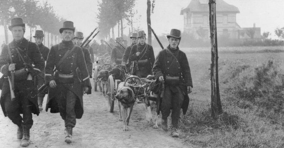 The Race to the Sea On Western Front In The First World War | War ...