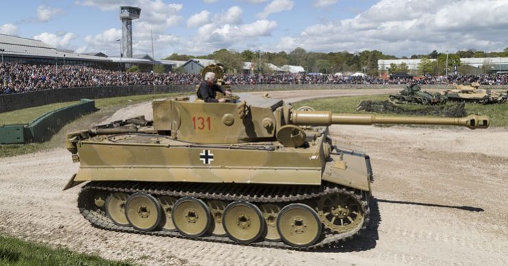 Tiger 131 Tiger Day