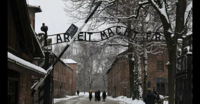 'Bookkeeper of Auschwitz' dies before serving prison term - convicted ...