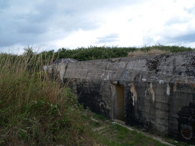 Hollywood Needs Ranger Reenactors for the Maisy Battery Story | War ...