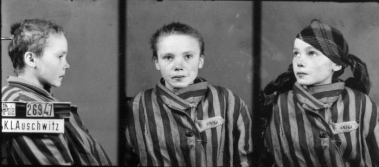 Czesława Kwoka, child victim of Auschwitz, as shown in her prisoner identification photo taken in 1942 or 1943.