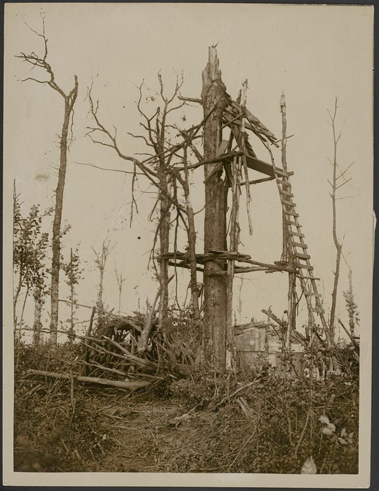 During WWI Fake Trees Were Built To Serve As Observation Posts War   German Observation Post At A Tree On Which Our Artillery Has Had A Direct Hit 768x994 