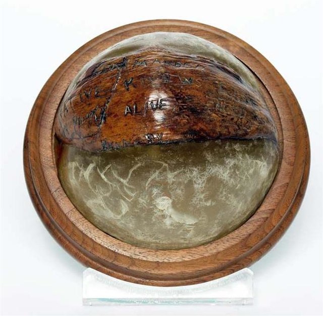 Coconut etched with a message by John F. Kennedy, against a white backdrop