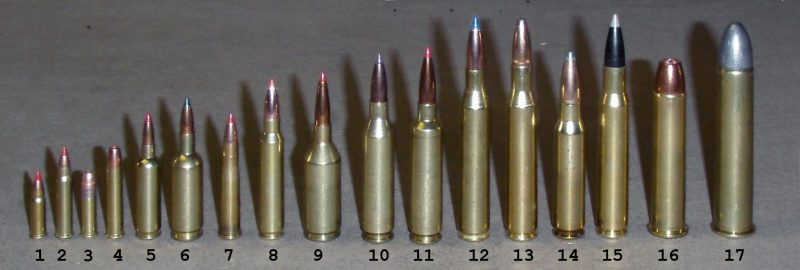 A Flash in The Pan? : How DOES a Bullet Work? | War History Online