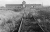 Survivor of Auschwitz Celebrates Her Birthday With Family of 400 | War ...