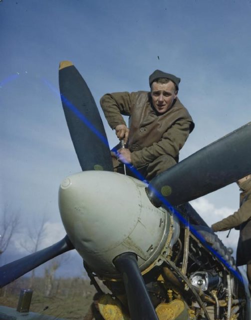 Aircraftman Jim Birkett (close-up) and Leading Aircraftman Wally Passmore working on the portside Merlin engine of a Supermarine Spitfire in Southern Italy.