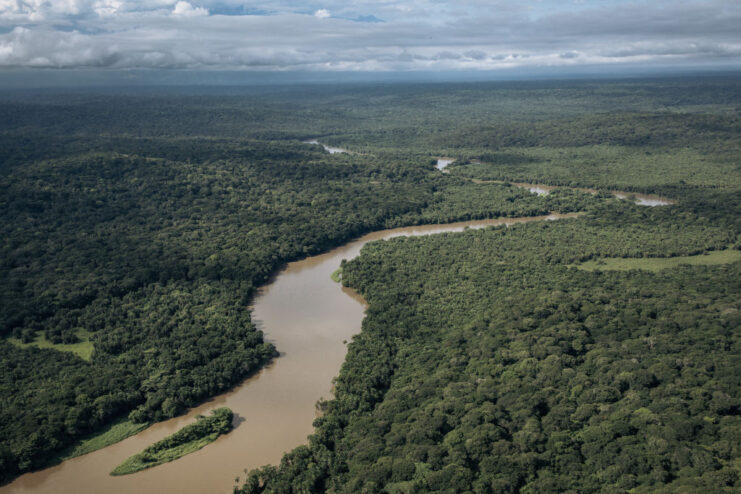Aerial view of the Semliki River, in the Democratic Republic of Congo