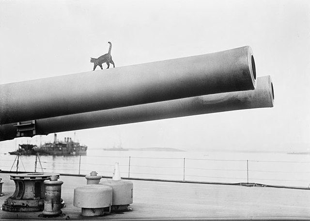 Cat walking along the barrel of a naval gun aboard a ship