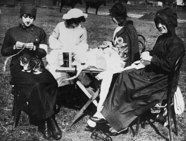 Four nurses sitting around a table, one with a cat lying on her lap