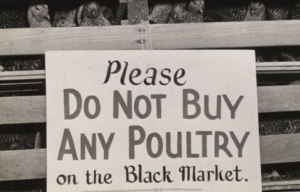 Sign placed in front of a chicken coup, which reads, "Please DO NOT BUY ANY POULTRY on the Black Market"