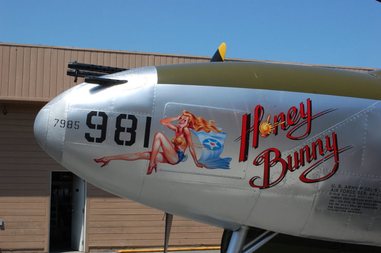 Honey Bunny Plane Nose Art