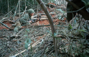 Troop lying down on the jungle floor