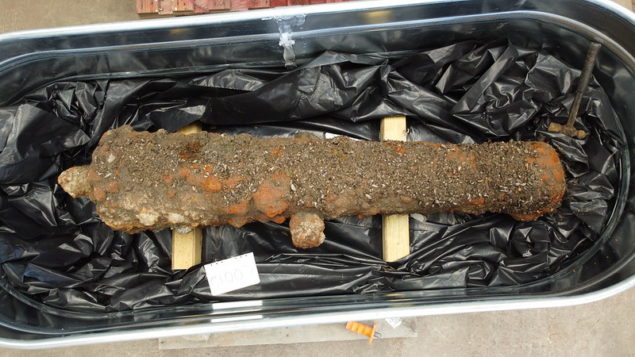 Revolutionary War-Era Cannons Pulled from Savannah River Could Be from ...