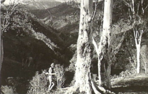 Australian soldier walking outside