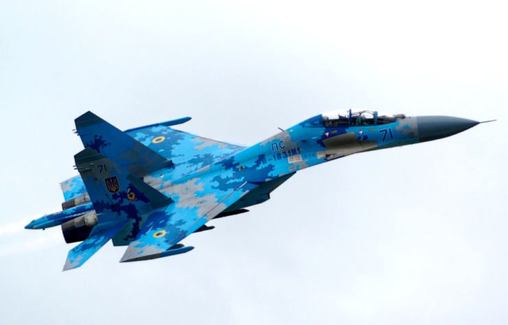 Sukhoi Su-27 in flight