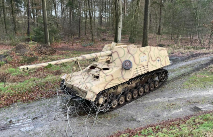 Nashorn driving along a dirt road in the middle of a forest