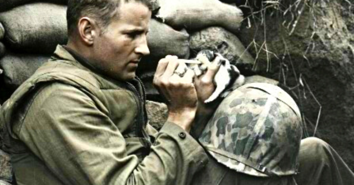 A US Marine Rescued a Kitten That Survived the Fighting at Bunker Hill