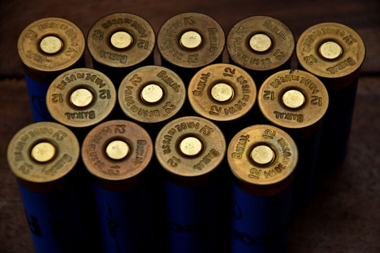 Three rows of shotgun shells