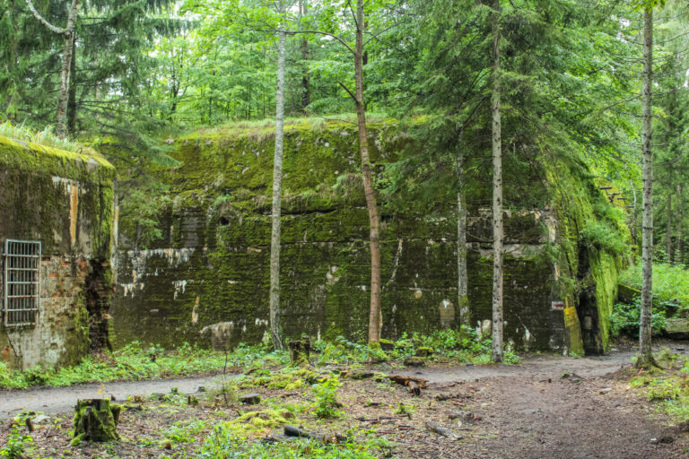 Five Skeletons Discovered Buried Beneath the Wolf's Lair in Poland ...