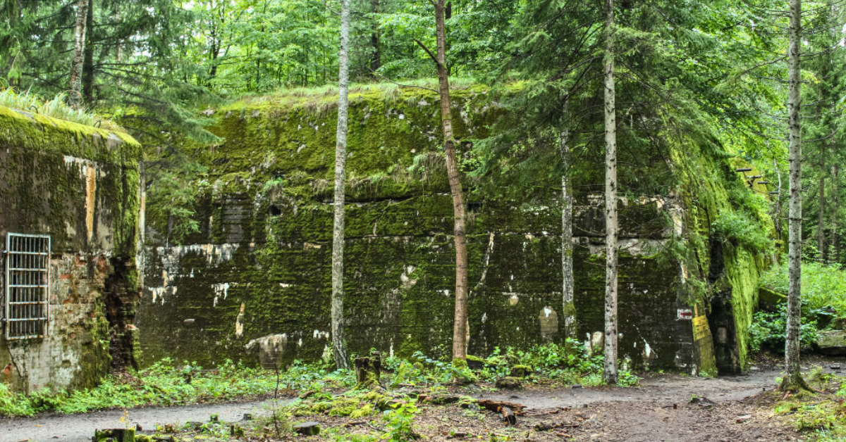 Five Skeletons Discovered Buried Beneath the Wolf's Lair in Poland ...