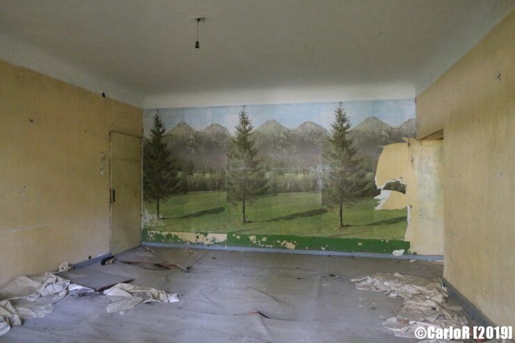 Mural of a wooded area on a large wall